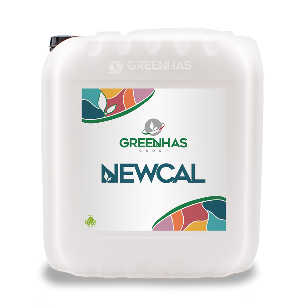 Newcal